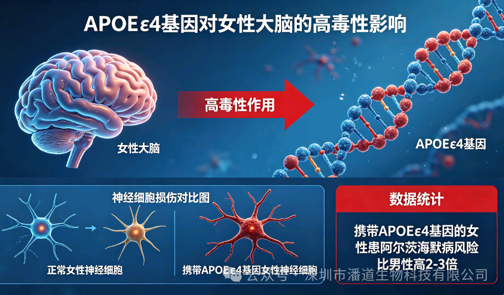 女性更易患阿尔茨海默病？《科学》新发现解锁早筛...