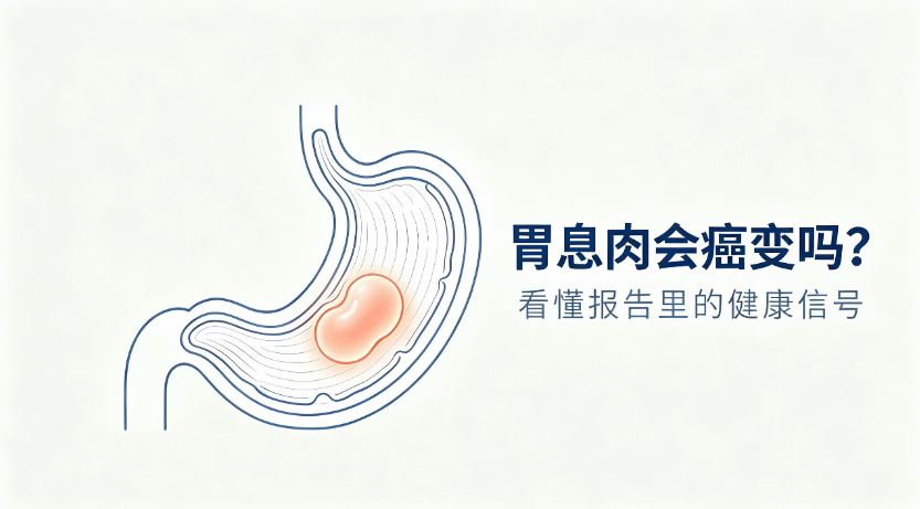 胃息肉会发展成胃癌吗？科学解读风险差异